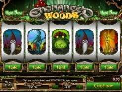 Enchanted Woods